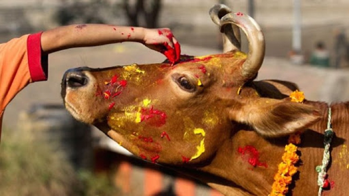 आज गोवर्द्धन पूजा, नेपाल सम्वत ११४३ पनि प्रारम्भ